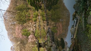 DSC_1757.jpg