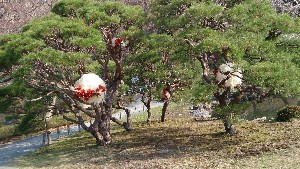 DSC_1758.jpg