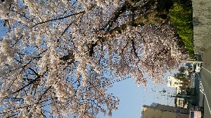 DSC_1759.jpg