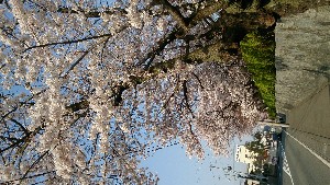 DSC_1760.jpg