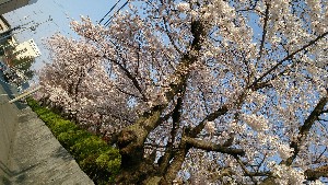 DSC_1761.jpg