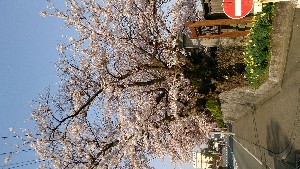 DSC_1762.jpg