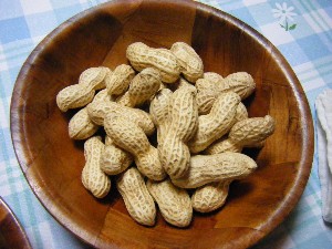 2009/01/26 �������̗��Ԑ�?_3