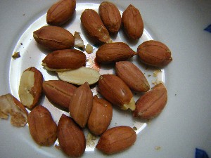 2009/01/26 �������̗��Ԑ�?_14