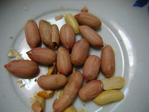 2009/01/26 �������̗��Ԑ�?_15