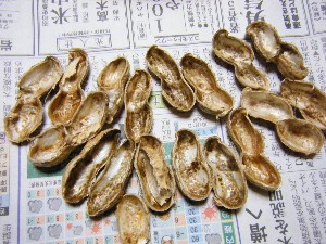 2009/01/26 �������̗��Ԑ�?_30