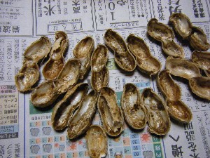 2009/01/26 �������̗��Ԑ�?_31