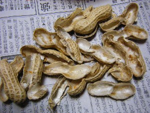 2009/01/26 �������̗��Ԑ�?_32
