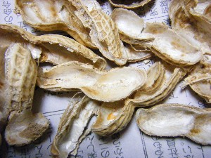 2009/01/26 �������̗��Ԑ�?_33