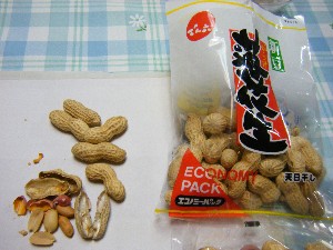 2009/01/26 �������̗��Ԑ�?_37