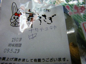 2009/01/26 �������̗��Ԑ�?_47