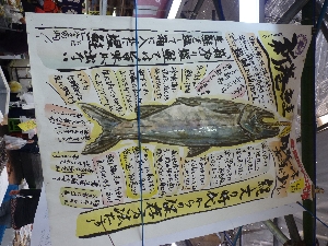 - 20111105- APhoto_15