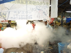 - 20111105- APhoto_55