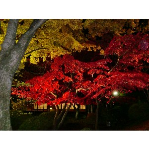 20091112 -���암�@(�����s������)-_2