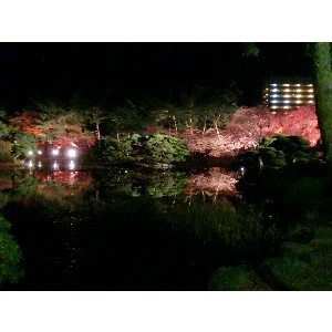 20091112 -���암�@(�����s������)-_3