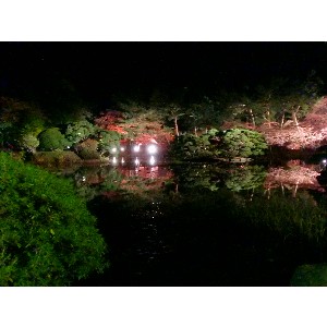 20091112 -���암�@(�����s������)-_4