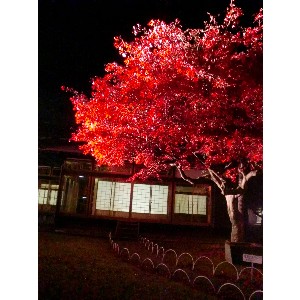 20091112 -���암�@(�����s������)-_6