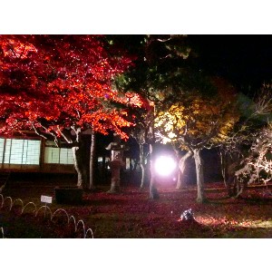 20091112 -���암�@(�����s������)-_8