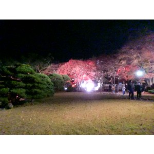 20091112 -���암�@(�����s������)-_9