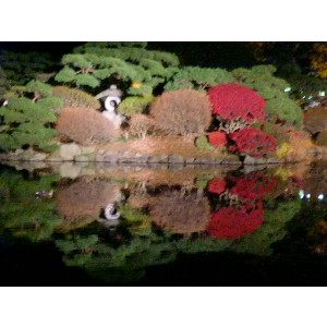 20091112 -���암�@(�����s������)-_12