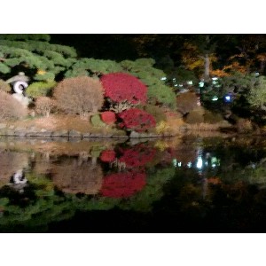 20091112 -���암�@(�����s������)-_14