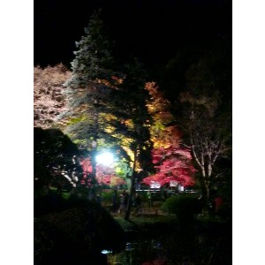 20091112 -���암�@(�����s������)-_15