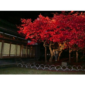 20091112 -���암�@(�����s������)-_18