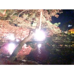 20091112 -���암�@(�����s������)-_26
