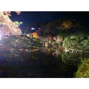 20091112 -���암�@(�����s������)-_27