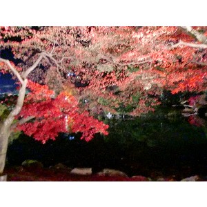 20091112 -���암�@(�����s������)-_31
