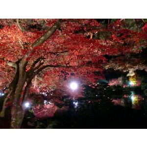 20091112 -���암�@(�����s������)-_34