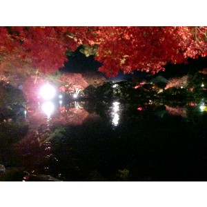 20091112 -���암�@(�����s������)-_36