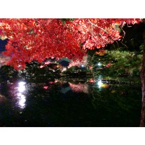 20091112 -���암�@(�����s������)-_37