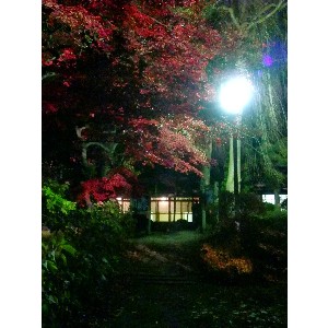 20091112 -���암�@(�����s������)-_44
