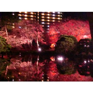 20091112 -���암�@(�����s������)-_45