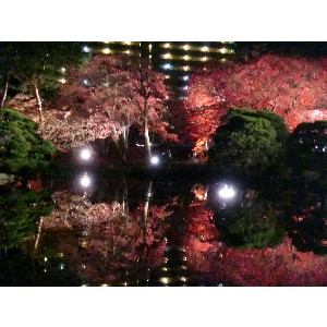20091112 -���암�@(�����s������)-_46