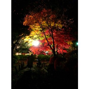 20091112 -���암�@(�����s������)-_47