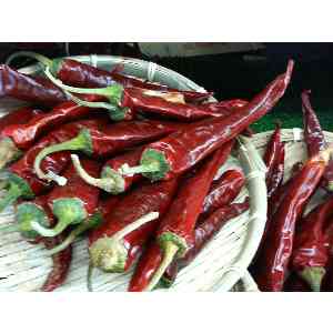 2008�N01��19��_14