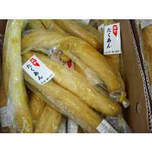 2008�N01��19��_18