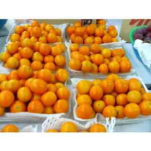 2008�N01��19��_19
