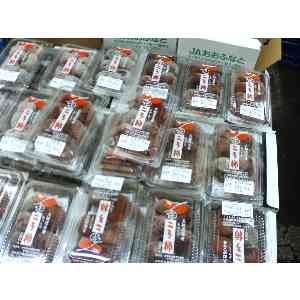 2008�N01��19��_31