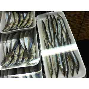 2008�N01��19��_34