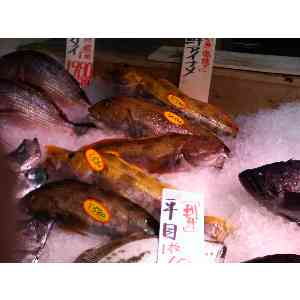 2008�N01��19��_42