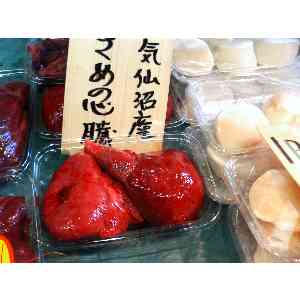 2008�N01��19��_47