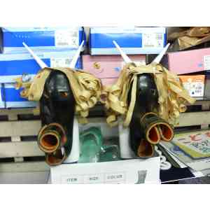2008�N01��19��_2