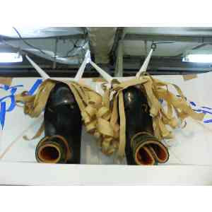 2008�N01��19��_5
