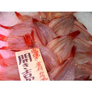 2008�N01��26��_9