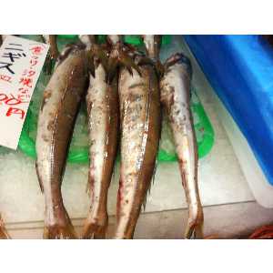 2008�N01��26��_10