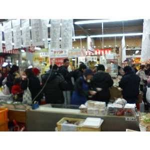 2008�N01��26��_12