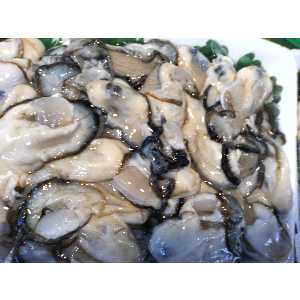 2008�N01��26��_17